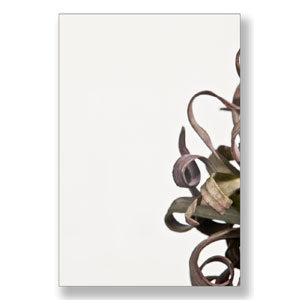 Float EXTRA HELDER (vensterglas) 3mm ±20x30cm